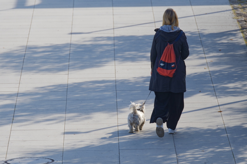 19 - A woman from behind walking a small, white dog on a leash along a paved path